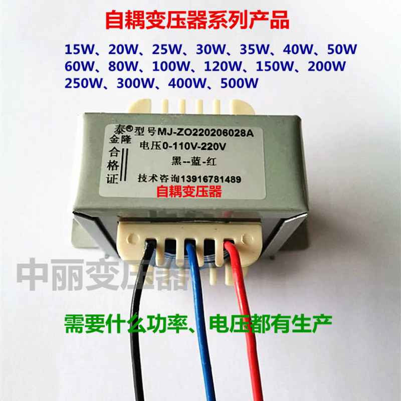 自耦变压器110V220V380V20W25W30W50W100WM120W150W升压降压调压