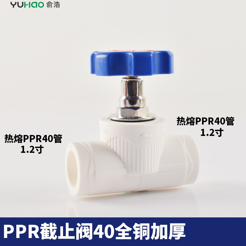 ppr水管阀门截止阀PE4分20闸阀旋转式开关升降式排气管配件闸门50