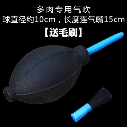 园艺多肉工具套装多肉植物阳台养花迷你三件套铲子/铁锹/锄头工具