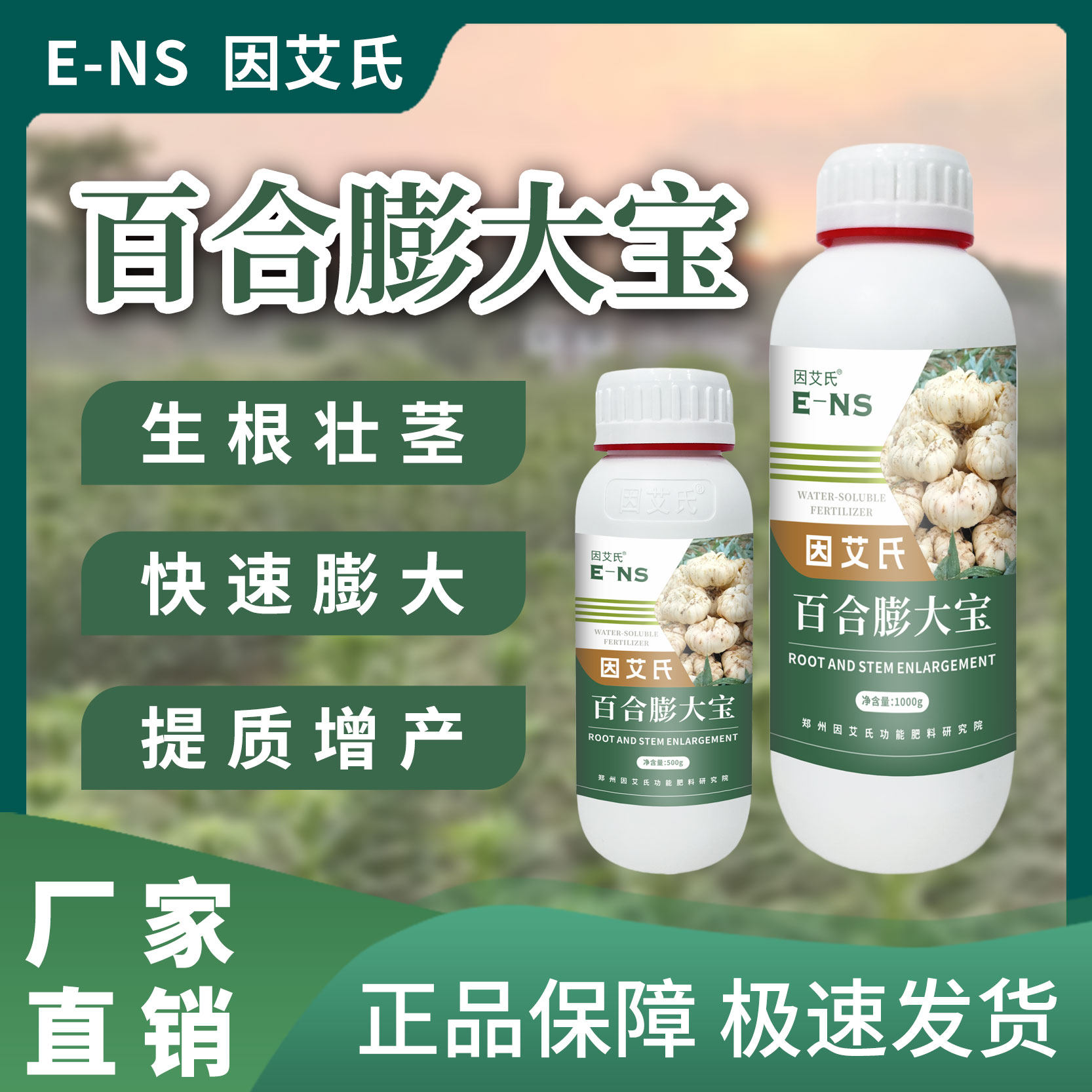 因艾氏百合膨大宝百合种植专用生根壮茎快速膨大提质增产水溶肥料