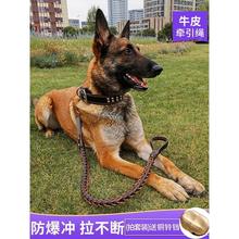 马犬牵引绳专用中大小型犬防咬狗狗链子金毛德牧遛狗绳子训练加粗