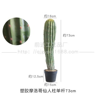 摩洛哥大仙人掌仿真仙人掌沙生植物景观造景热带植物盆栽仙人柱