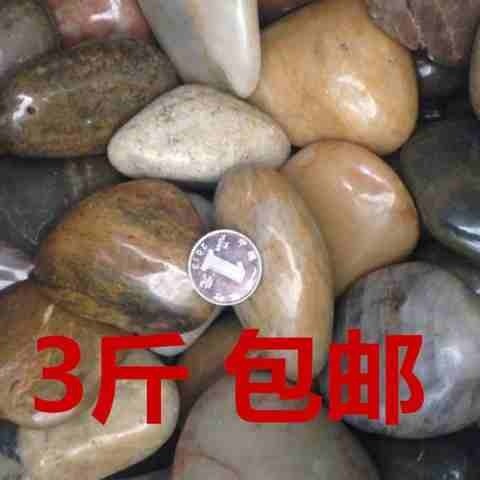 2021白q石子铺地装饰品公园水养彩石铺面鱼缸Q花草水族花园鹅卵石