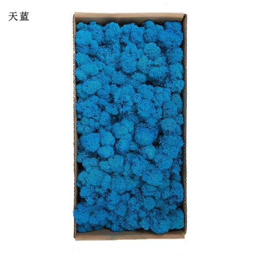 极速永生苔藓青苔藓微景观装饰优质绿F化植被植物diy干燥花材料