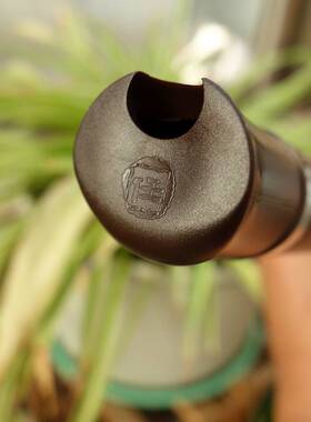 极速任箫B18八孔洞箫合成r箫可拆便携演奏箫 树脂箫 A调/G调/F调/