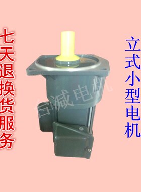 极速新品380v200W400W立式卧式y小型齿轮减速O电机18轴28轴单相三