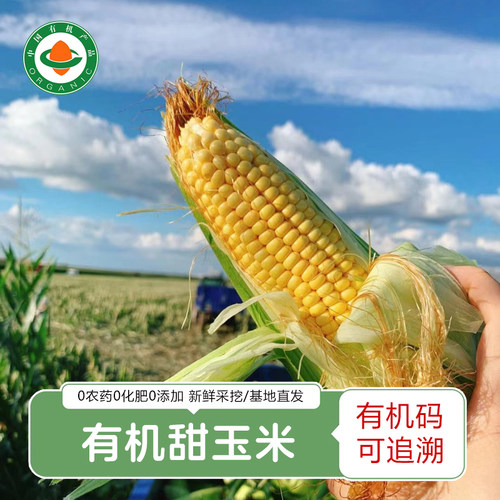 云南有机玉米 新鲜有机脆甜玉米甜玉米玉米棒生玉米儿童辅食1400g