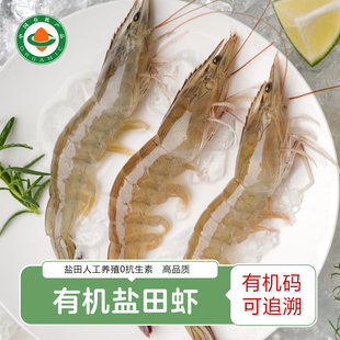 有机盐田虾 俏虾客生态虾仁新鲜活虾速冻大虾宝宝辅食无抗冷冻虾