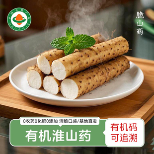 有机山药 新鲜采挖怀山药分段包装/粗壮/菜山药脆山药