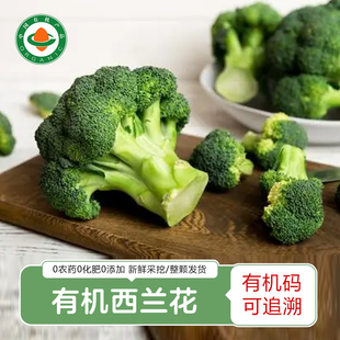 2026新上市有机西兰花露天自然生长西兰花沙拉菜花椰菜顺丰包邮