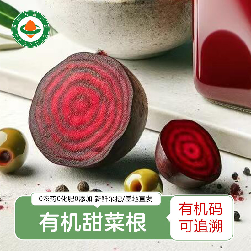 云南昆明良道基地有机甜菜根露天种植无农残红甜菜甜菜头榨汁
