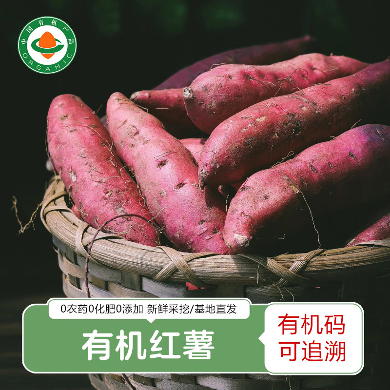 有机红薯 新鲜海南澄迈桥头地瓜红薯板栗红薯顺丰发货5斤