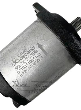 土耳其BLUE ASCEND齿轮泵APH20.040/060/080/095/115/140/160/190