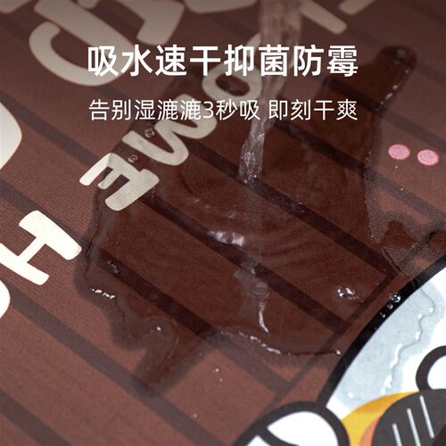 入户门地垫2025新款硅藻泥门口门垫浴室卫生间厕所防滑吸水地毯