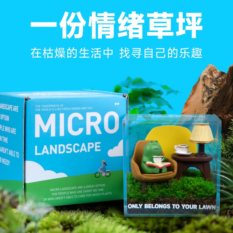 苔藓微景观室内桌面盆栽鲜活小绿植摆件办公室礼物U青苔生态瓶四