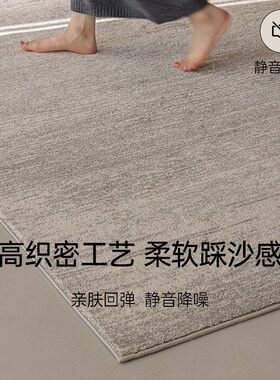 无胶无甲醛防猫抓 202r5新款防水防污客厅地毯 灰色免洗可擦卧室