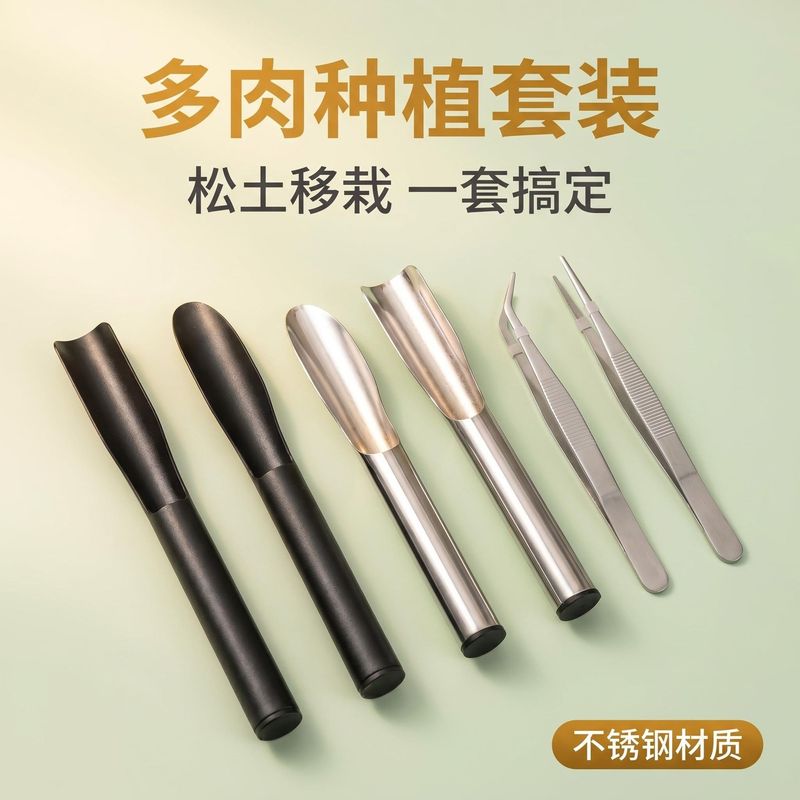 园艺盆栽移苗全套种植工具不锈钢弯直镊子多肉养护铲具