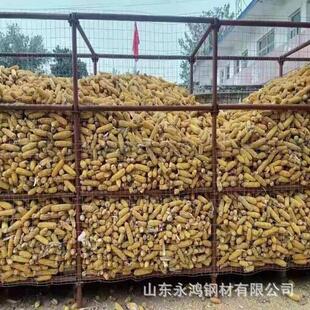 成品铁架子屯苞米钢管 河北玉米棒子储存架 轮扣新型玉米囤架子管