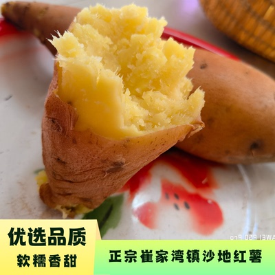 （中果）陕北土特产新鲜黄心蜜薯超甜农家自种崔家湾镇沙地红薯