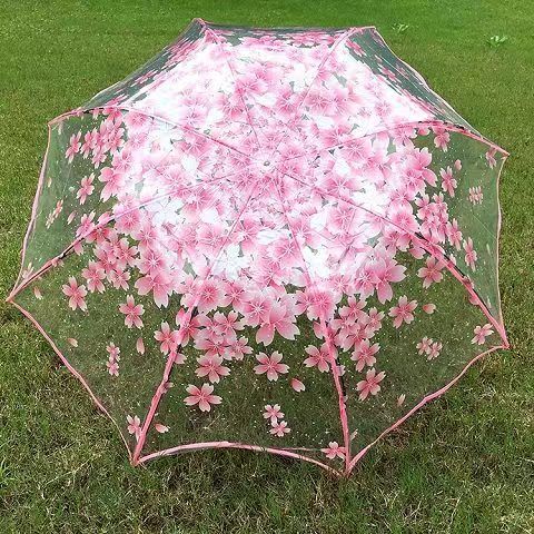 透明雨伞半自动樱花直柄韩国加厚学生晴雨伞清新一次性儿童雨伞