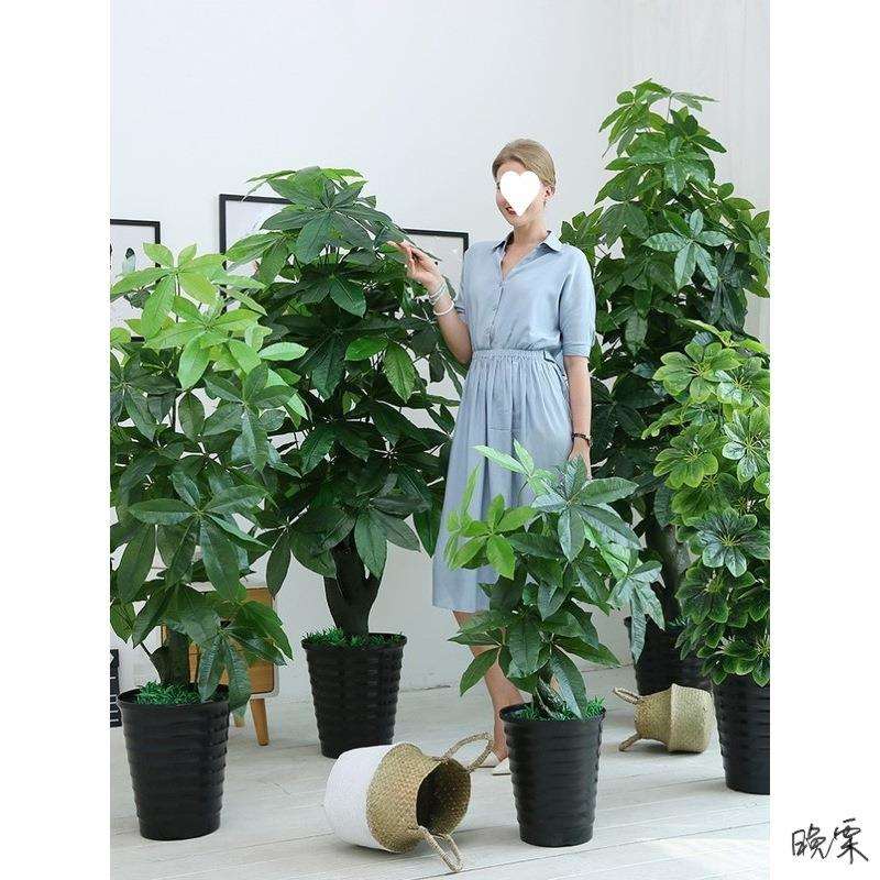 电视柜旁边绿植橱窗四季客厅落地物家里棵电视柜旁边假花