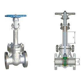 DZ41W-25P低温不锈钢闸阀_
