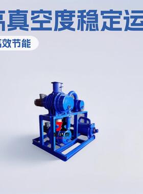 JZJ2B30-2.1.1真空机组tZJP30-15-15罗茨增压泵2BV2061水环真空泵