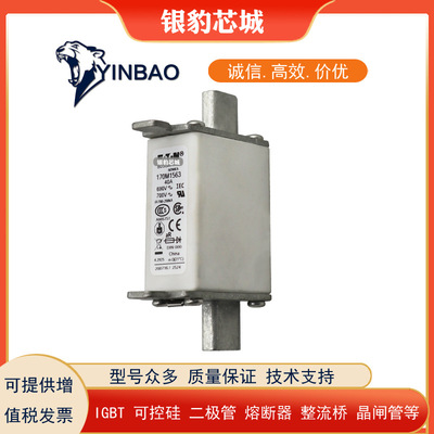 170M1564 170M1565 170M1566 170M1567巴斯曼熔断器