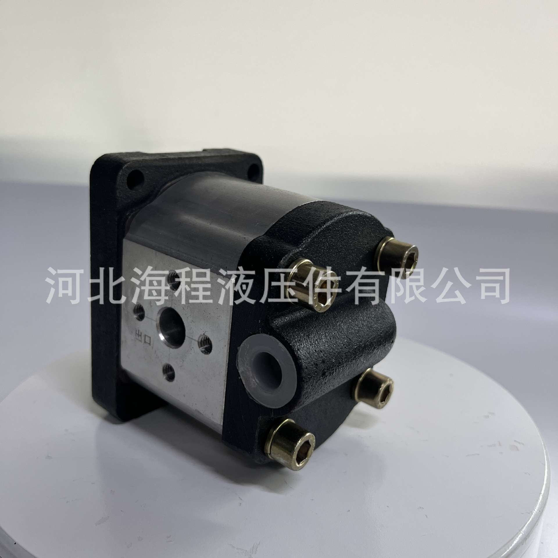CBTt-F310F 左旋 E571001 同侧进出