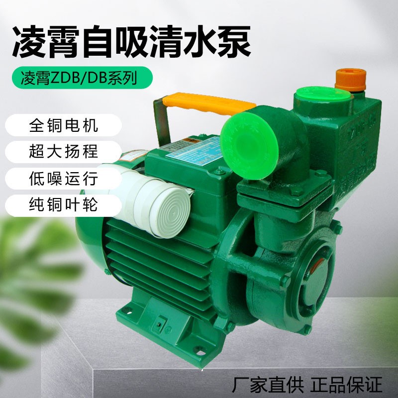 广东凌霄1ZDB-35/45/65清水管道增压循环泵抽水泵家用自吸泵220V