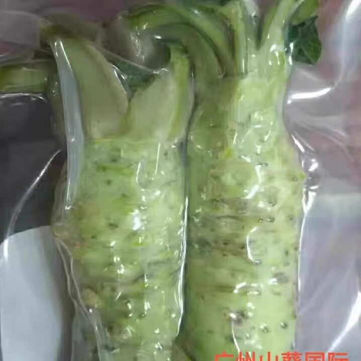 包邮3-4根共100克山葵套装日式小鱼陶瓷磨一个现货 山葵烤肉