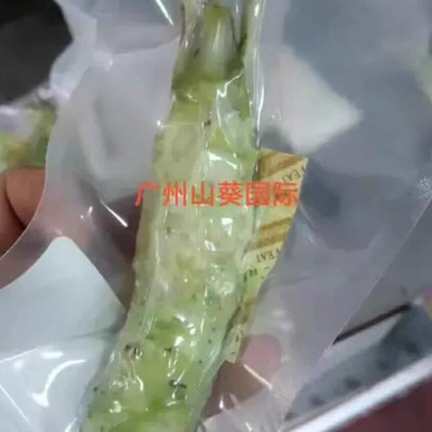 新鲜山葵3根共150出口品质每根50克以上芥辣芥末寿司配料现货顺丰