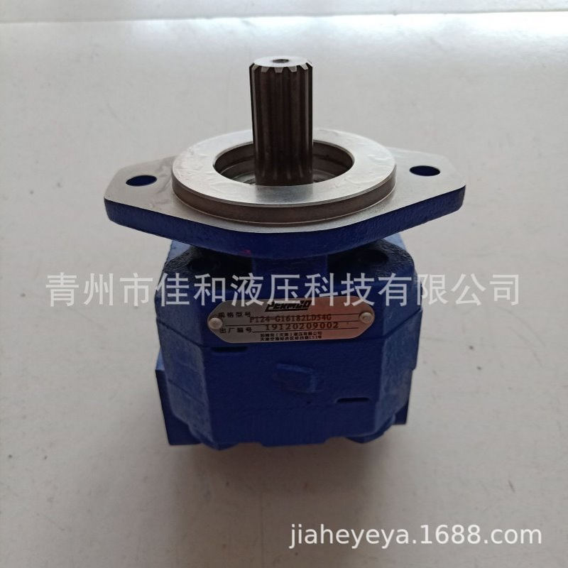 P124B085ERZA12钻机齿轮泵 多种规格 运行稳定