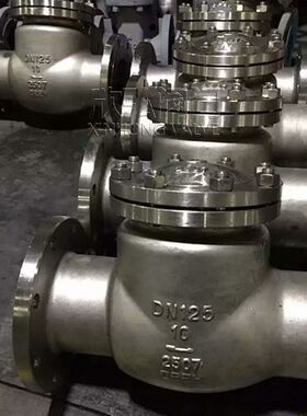 310S不锈钢止回阀 法兰 陶瓷 回水 大口径 欣弘阀门