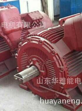 YXKK4503-8-500KW电机蓝海YXKK4503-8-500KW电机替代应用