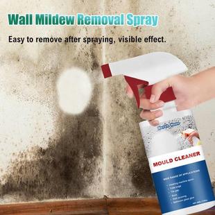 Spray Wall Mould Mold Remover Cleaning 60ml