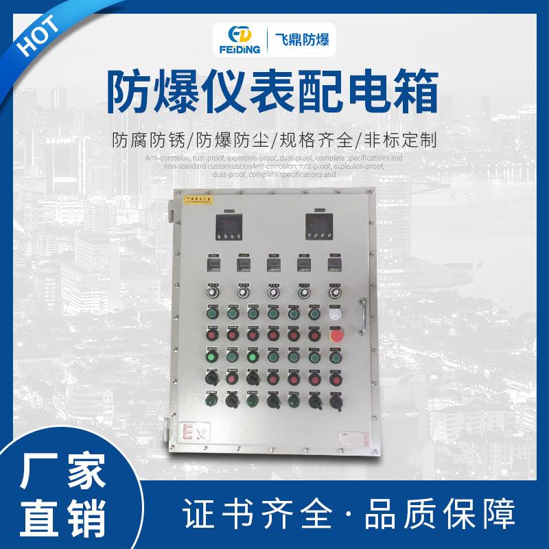 防爆仪表配电箱仪表带按键防爆箱立式钢板变频器防爆控制按钮箱