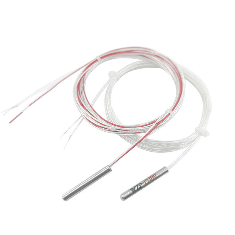 pt1000铂热电阻芯二三线制进口芯 温度传感器精准PT100 WZP热电偶