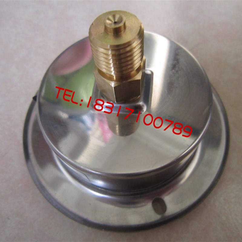 轴向带边耐震压力表YN60ZT液压油压表0-1.6/2.5/6/10/16/25/40MPA