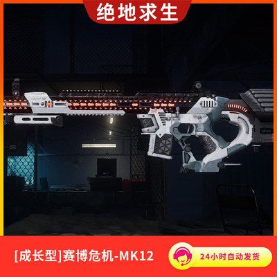 PUBG绝地求生G币皮肤[成长型]赛博危机-MK12端游皮肤兑换码