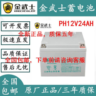 蓄电池PH12V24AH12伏24AH直流屏机房通讯UPS EPS电源用