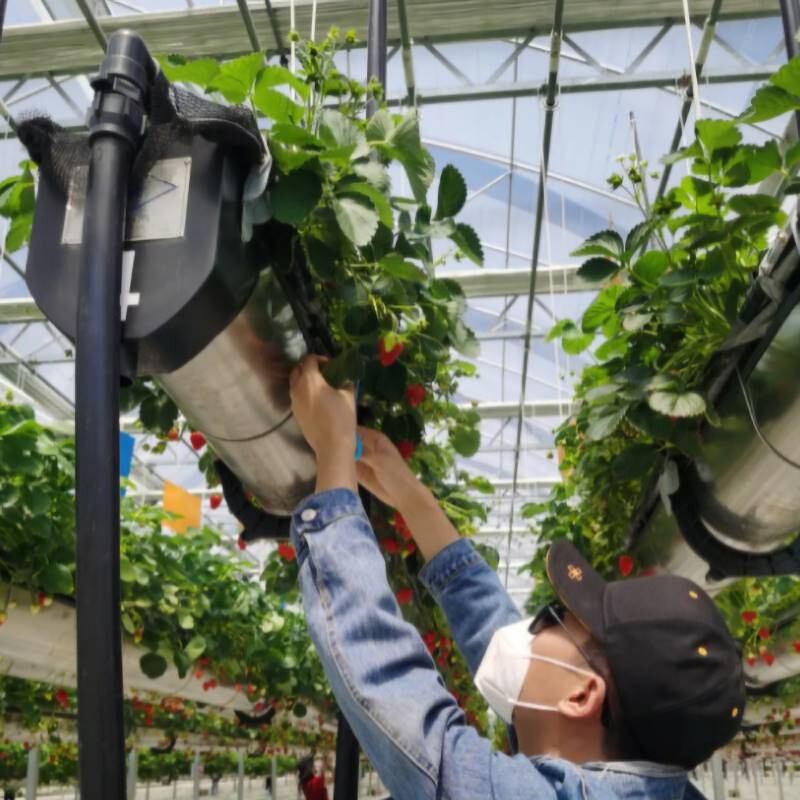 土无栽培种植设备立体式种植槽空中大棚种植槽立体空中草莓种植槽