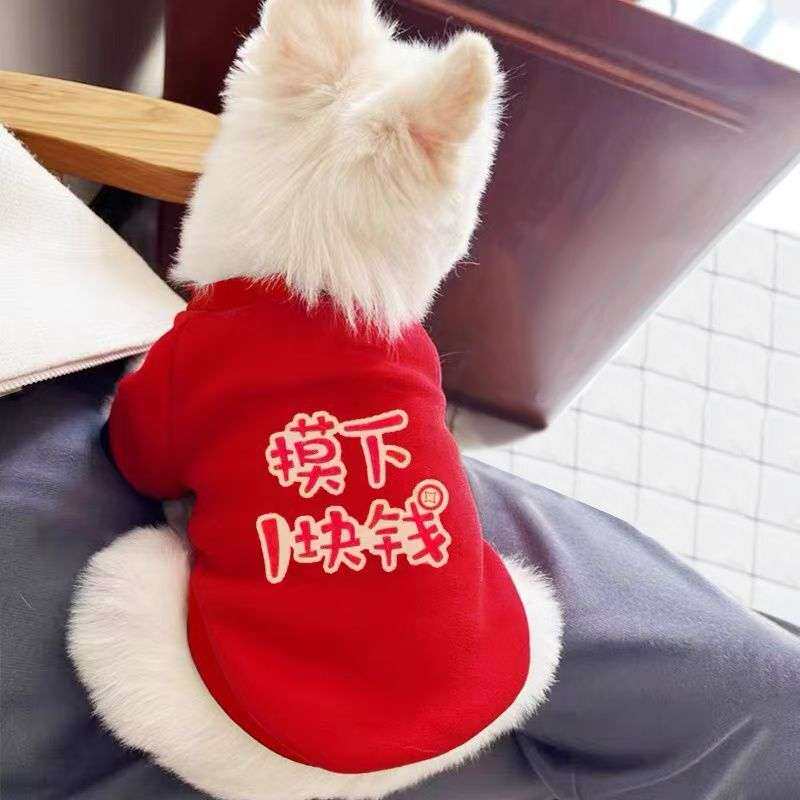 新年喜庆猫咪宠物衣服冬季加绒加厚保暖狗狗衣服布偶小型犬拜年潮