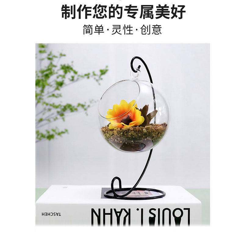 微景观生态瓶多肉植物diy材料玻璃盆栽摆件礼品套装室内桌面观赏