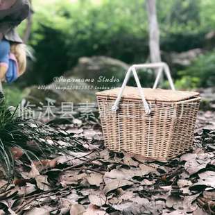 北欧ins网红藤条编织小提篮宝宝户外出游野餐篮收纳篮拍照道具