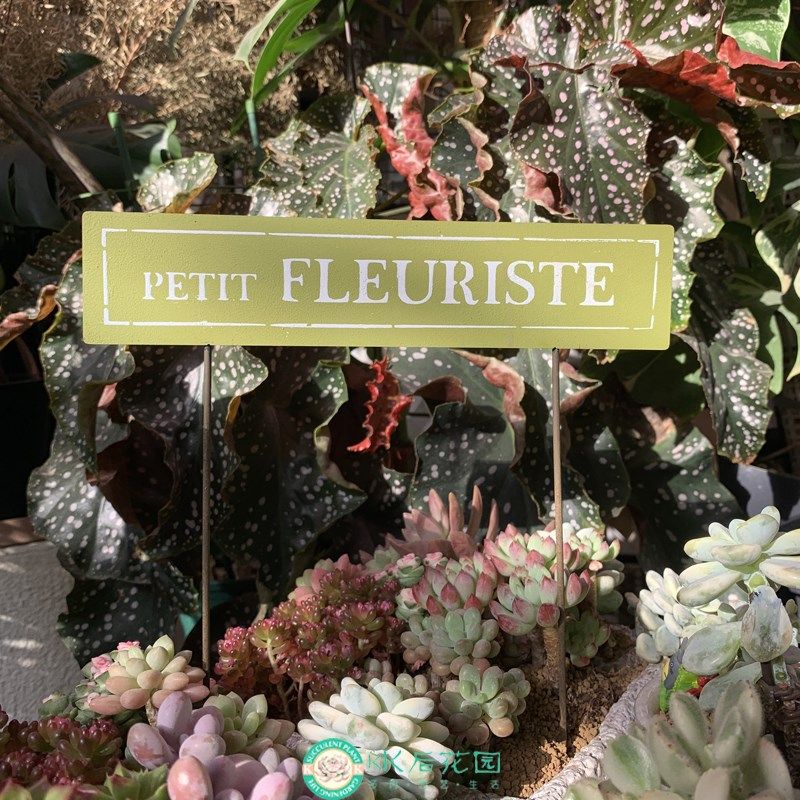 花园插牌植物角长方形插牌园艺杂货摆件铁艺盆栽插件标签大爬藤架,鲜花速递/花卉仿真/绿植园艺,其它园艺用品,淘宝优惠券,粉丝福利购,淘宝优惠卷