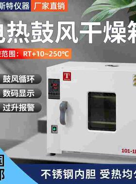 101-3AB天津泰斯特101-1DB鼓风干燥箱101-0AB恒温烘箱101-2DB 3DB