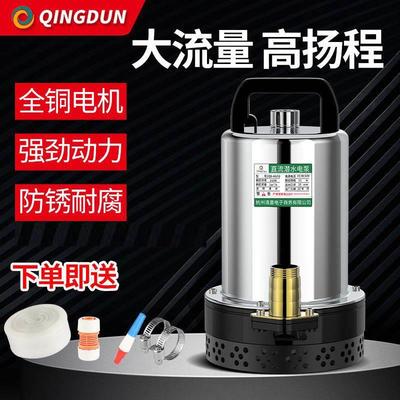 潜水泵12V24V电瓶48V60V家用电瓶车抽水泵小型电动农用灌溉抽水机
