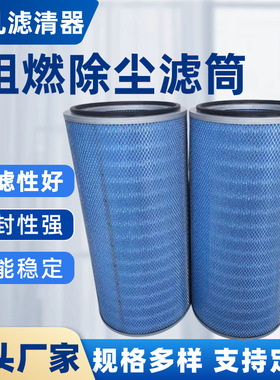 除尘器用纳米阻燃除尘滤筒P190818 除尘滤芯325*215*660尺寸可定