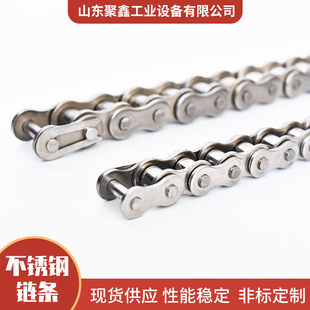 厂家直供短节距传动双排不锈钢201 2双排滚子链条 304材质链条12A